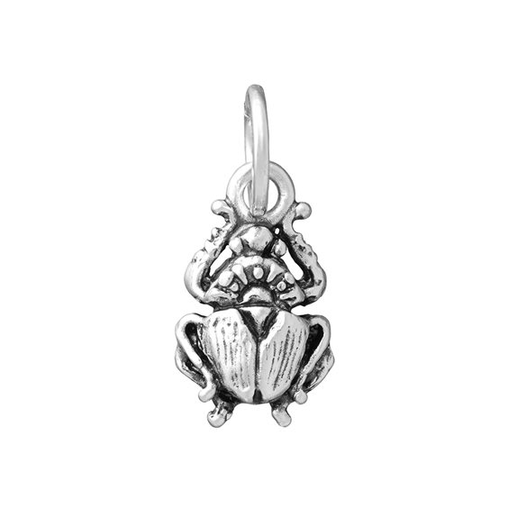Charm Giovanni Raspini in Argento 11836 - 11836
